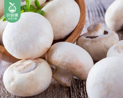 【叼鲜蔬】漳州新鲜白蘑菇/1份（约200g） 商品图5