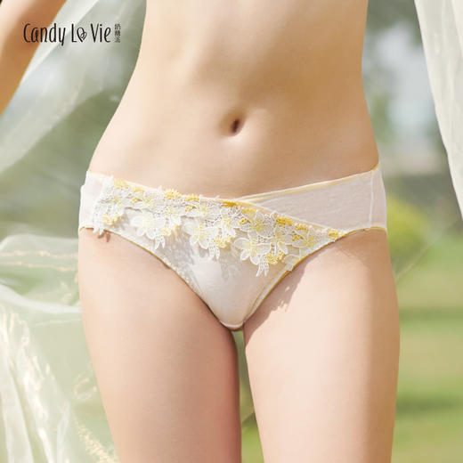 奶糖派大杯文胸内裤汇总精美刺绣内裤 商品图0