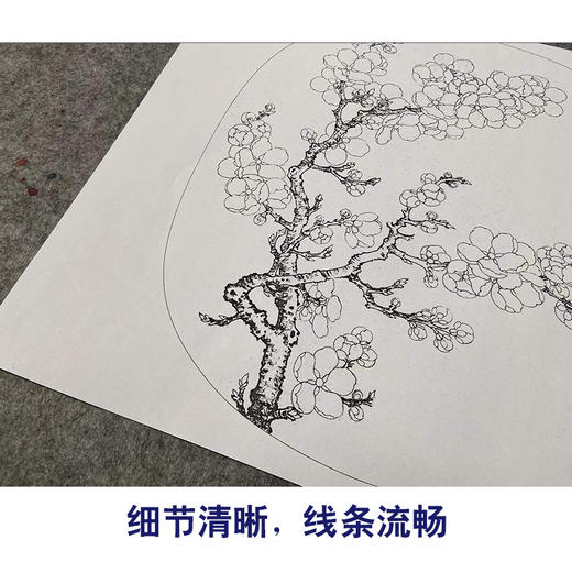 【有步骤、大彩图】李晓明工笔画白描底稿小品《杏花图》初学者临摹花鸟线稿KL11 商品图4