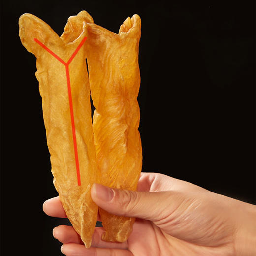 【12头大黄花胶】一斤12个，珍贵黄花胶浑身是宝 海之珍品 自用送礼佳品 全国顺丰包邮 商品图2