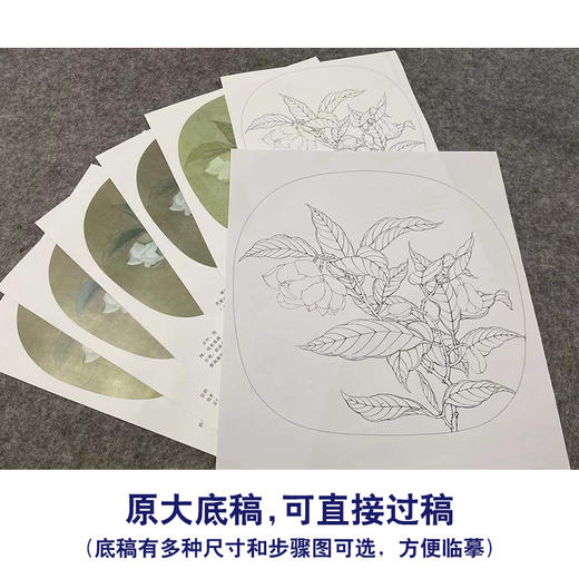 【有步骤、大彩图】李晓明工笔画白描底稿小品《夜合花图》初学者临摹花鸟线稿KL14 商品图1