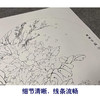 【有步骤、大彩图】李晓明工笔花鸟画白描底稿牡丹图小品《紫韵融春》KA04 商品缩略图4