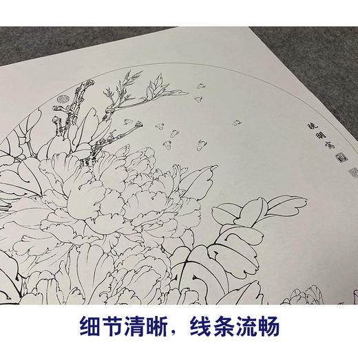 【有步骤、大彩图】李晓明工笔花鸟画白描底稿牡丹图小品《紫韵融春》KA04 商品图4
