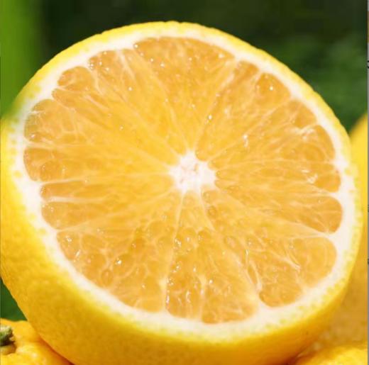 福建甜桔柚、颗粒晶莹、甜蜜多汁、有橘子的甜蜜、柚子的清香，又有橙子的风味，清甜爽口的口感【寒冷地区冻坏不售后】 商品图4