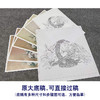 【有步骤、大彩图】李晓明工笔画白描底稿斗方小品《临宋花篮图页》山茶水仙梅花初学者临摹花鸟线稿KL04 商品缩略图1