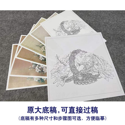 【有步骤、大彩图】李晓明工笔画白描底稿斗方小品《临宋花篮图页》山茶水仙梅花初学者临摹花鸟线稿KL04 商品图1