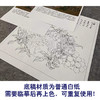 【有步骤、大彩图】李晓明工笔画白描底稿斗方小品《临宋吉祥多子图》石榴初学者临摹花鸟线稿K057 商品缩略图3