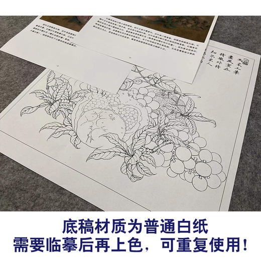 【有步骤、大彩图】李晓明工笔画白描底稿斗方小品《临宋吉祥多子图》石榴初学者临摹花鸟线稿K057 商品图3