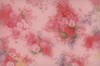 《花米奇 No.6 第一封情书》-游雯迪 商品缩略图0