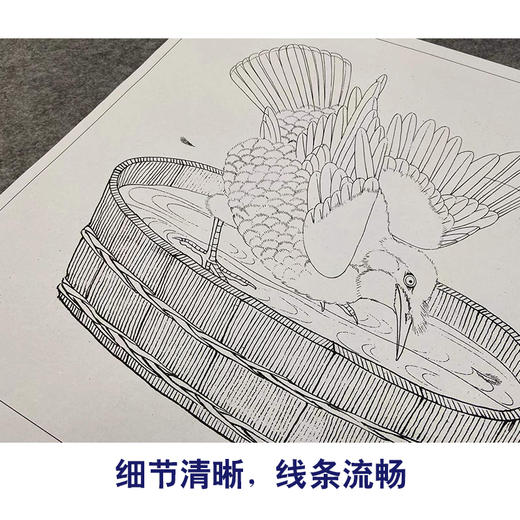【有步骤、大彩图】李晓明工笔画白描底稿斗方小品《禽浴图》乌鸦临摹勾线动物线稿K064 商品图4