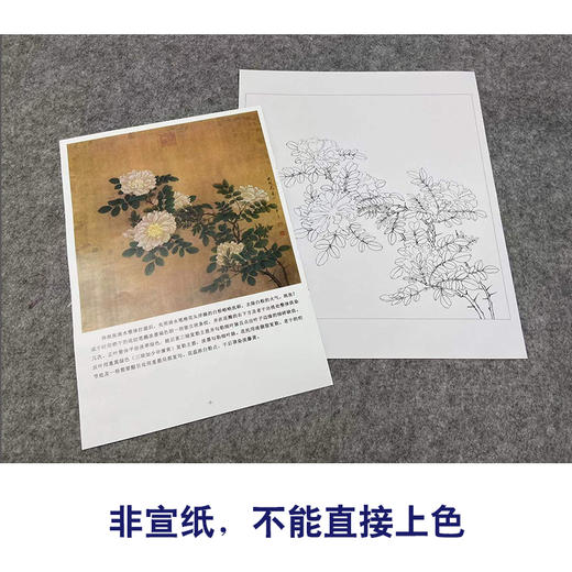 【有步骤、大彩图】李晓明工笔画白描底稿斗方小品《白蔷薇图》初学者临摹花鸟线稿KL02 商品图2