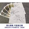 【有步骤、大彩图】李晓明工笔画白描底稿斗方小品《八哥枇杷图》乌鸦初学者临摹花鸟线稿KL01 商品缩略图1