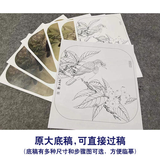 【有步骤、大彩图】李晓明工笔画白描底稿斗方小品《八哥枇杷图》乌鸦初学者临摹花鸟线稿KL01 商品图1