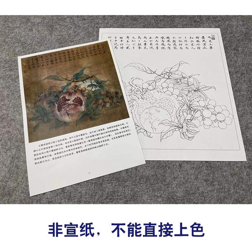 【有步骤、大彩图】李晓明工笔画白描底稿斗方小品《临宋吉祥多子图》石榴初学者临摹花鸟线稿K057 商品图2
