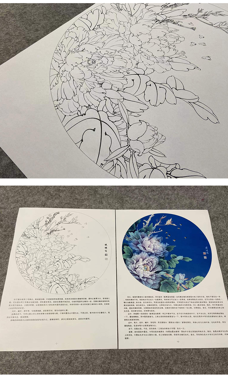 有步骤大彩图李晓明工笔花鸟画白描底稿牡丹图小品紫韵融春ka04