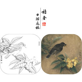 【有步骤、大彩图】李晓明工笔画白描底稿斗方小品《八哥枇杷图》乌鸦初学者临摹花鸟线稿KL01
