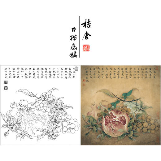 【有步骤、大彩图】李晓明工笔画白描底稿斗方小品《临宋吉祥多子图》石榴初学者临摹花鸟线稿K057 商品图0
