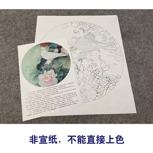 【有步骤、大彩图】李晓明工笔画白描底稿圆形小品《满园芳菲》牡丹鸽子初学者临摹花鸟线稿KL26 商品图2
