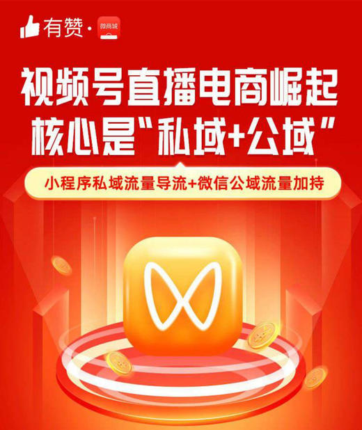 视频号直播电商崛起，核心是小程序私域流量导流+微信公域流量加持 商品图0
