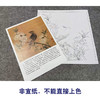 【有步骤、大彩图】李晓明工笔画白描底稿斗方小品《临宋桃花山鸟图》初学者临摹花鸟线稿KL12 商品缩略图2