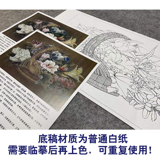 【有步骤、大彩图】李晓明工笔画白描稿斗方小品《临宋花篮图》蜀葵石榴栀子花初学者临摹花鸟线稿KL05 商品图3