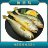 深海野化大黄鱼6条装 5.5斤/盒【LY】【包邮直发】 商品缩略图0