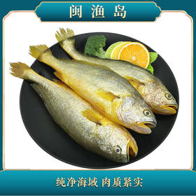 深海野化大黄鱼6条装 5.5斤/盒【LY】【包邮直发】