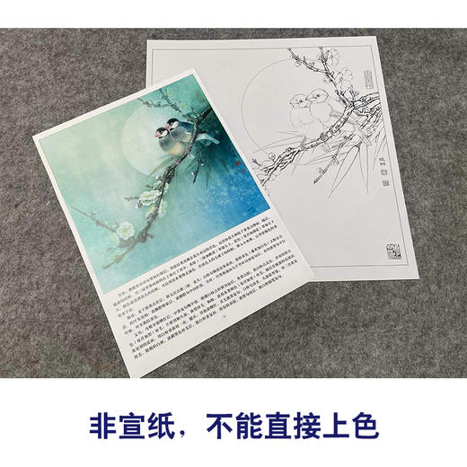 【有步骤、大彩图】李晓明工笔画白描底稿斗方小品《梅竹文鸟图》梅花初学者临摹花鸟线稿KL23 商品图2
