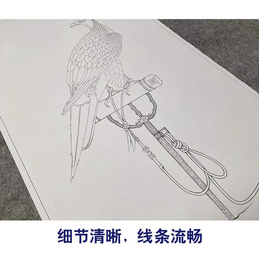 【有步骤、大彩图】李晓明工笔画白描底稿《架上鹰图》老鹰初学者临摹花鸟线稿KL15 商品图4
