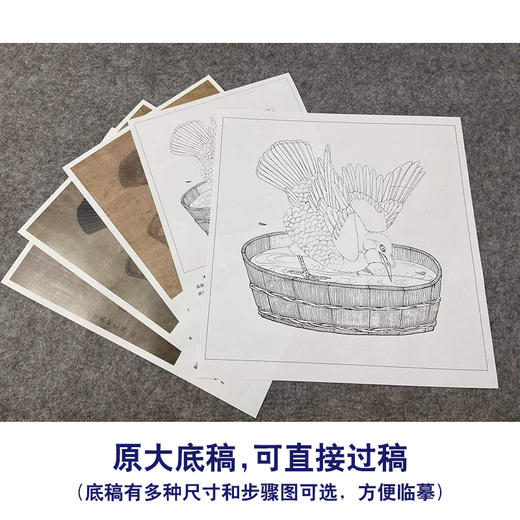 【有步骤、大彩图】李晓明工笔画白描底稿斗方小品《禽浴图》乌鸦临摹勾线动物线稿K064 商品图1