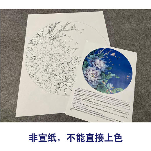 【有步骤、大彩图】李晓明工笔花鸟画白描底稿牡丹图小品《紫韵融春》KA04 商品图2