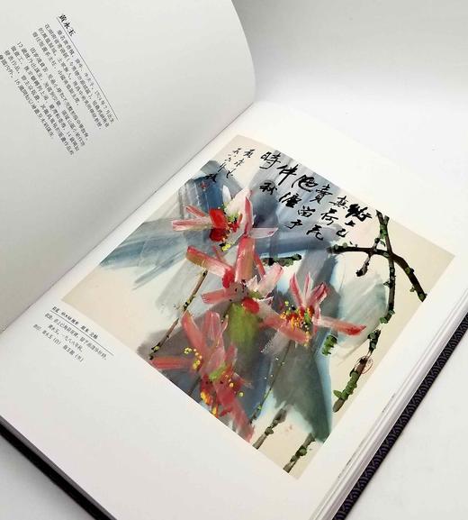 《道心瑞彩：近五百年画海拾微》，16开精装函套，2册，铜版彩印，李太生编，文物出版社2015年版，定价880，售价316元。非偏远地区包邮 商品图10