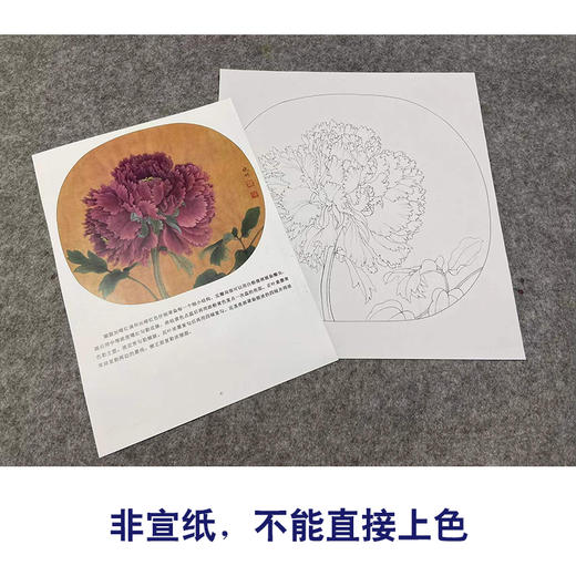【有步骤、大彩图】李晓明工笔画白描底稿圆形小品《临宋品字牡丹图》牡丹初学者临摹花鸟线稿KL08 商品图2