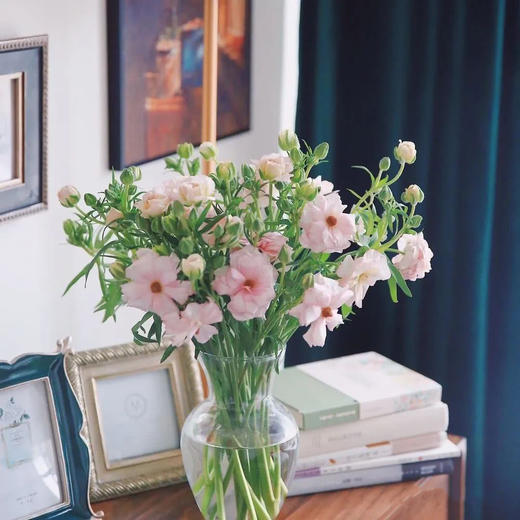 活动蝴蝶洋牡丹 商品图2