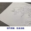 【有步骤、大彩图】李晓明工笔画白描底稿斗方小品《露冷风清花自香》蝴蝶兰花初学者临摹花鸟线稿KL25 商品缩略图4