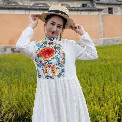 镜花刺绣大摆连衣裙 | 杨丽萍老师同款 | 现货加急发| 长短袖 商品图6