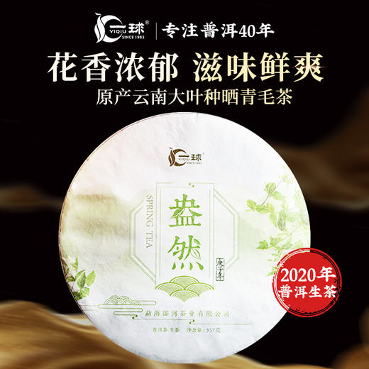 一球2020年盎然生茶357g 商品图0