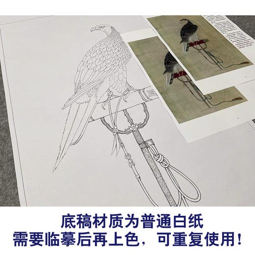 【有步骤、大彩图】李晓明工笔画白描底稿《架上鹰图》老鹰初学者临摹花鸟线稿KL15 商品图3