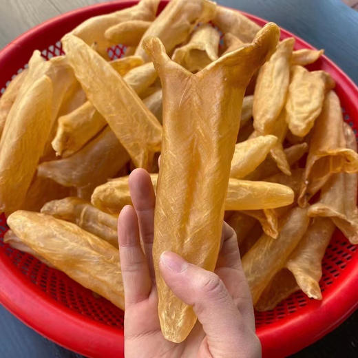 【12头大黄花胶】一斤12个，珍贵黄花胶浑身是宝 海之珍品 自用送礼佳品 全国顺丰包邮 商品图3