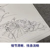 【有步骤、大彩图】李晓明工笔画白描底稿斗方小品《临宋荷蟹图》荷花螃蟹初学者临摹花鸟线稿KL03 商品缩略图4