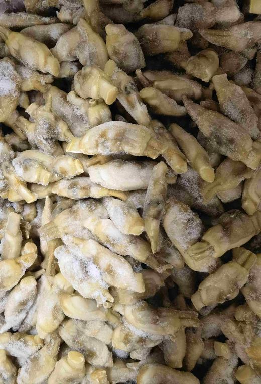 鲜冻蛏子肉500克 商品图6