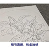 【有步骤、大彩图】李晓明工笔画白描底稿小品《夜合花图》初学者临摹花鸟线稿KL14 商品缩略图4
