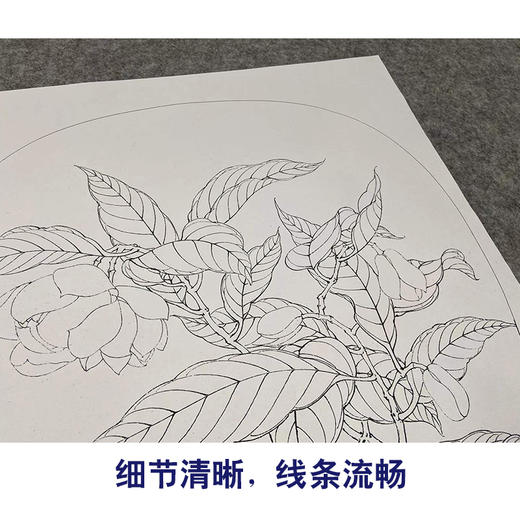 【有步骤、大彩图】李晓明工笔画白描底稿小品《夜合花图》初学者临摹花鸟线稿KL14 商品图4