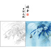 【有步骤、大彩图】李晓明工笔画白描底稿斗方小品《露冷风清花自香》蝴蝶兰花初学者临摹花鸟线稿KL25 商品缩略图0