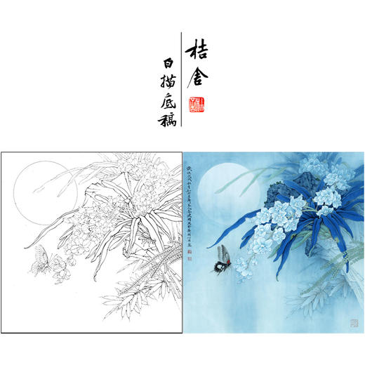 【有步骤、大彩图】李晓明工笔画白描底稿斗方小品《露冷风清花自香》蝴蝶兰花初学者临摹花鸟线稿KL25 商品图0