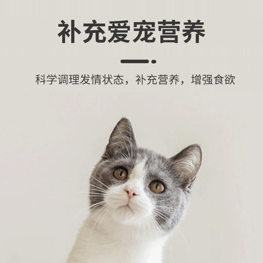 PetsBenz-猫咪禁情液-50ml公猫母猫专用 用于缓解猫咪发情，厌食，焦躁。 商品图3