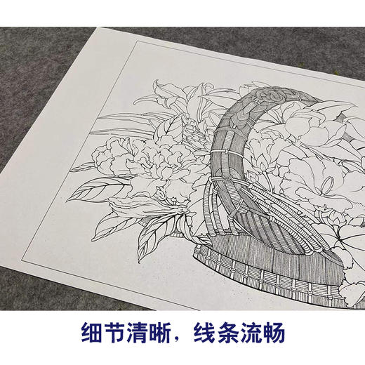 【有步骤、大彩图】李晓明工笔画白描稿斗方小品《临宋花篮图》蜀葵石榴栀子花初学者临摹花鸟线稿KL05 商品图4
