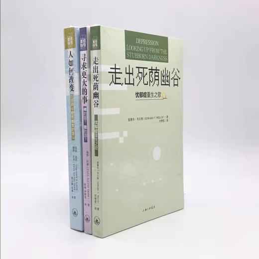 【SJ辅导系列】在恩典中经历蜕变的喜乐。《寻求更大的事》《走出死荫幽谷》《人如何改变》 商品图0