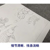 【有步骤、大彩图】李晓明工笔画白描底稿斗方小品《睡莲金龙鱼》荷花初学者临摹花鸟线稿KL22 商品缩略图4