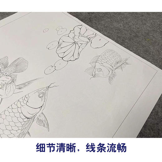 【有步骤、大彩图】李晓明工笔画白描底稿斗方小品《睡莲金龙鱼》荷花初学者临摹花鸟线稿KL22 商品图4